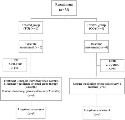 Psychological Support for Family Caregivers of Patients With Amyotrophic Lateral Sclerosis at the Time of the Coronavirus Disease 2019 Pandemic: A Pilot Study Using a Telemedicine Approach